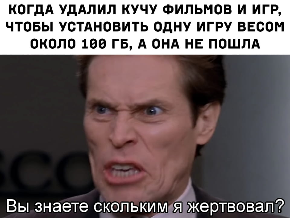 Когда удалил кучу фильмов и игр, чтобы установить одну игру весом около 100 ГБ, а она не пошла. <br /> — Вы знаете, сколько я жертвовал? <br /><br /> Описание картинки: <br /> Кадр из фильма с эмоциональным персонажем, который говорит о жертвах.