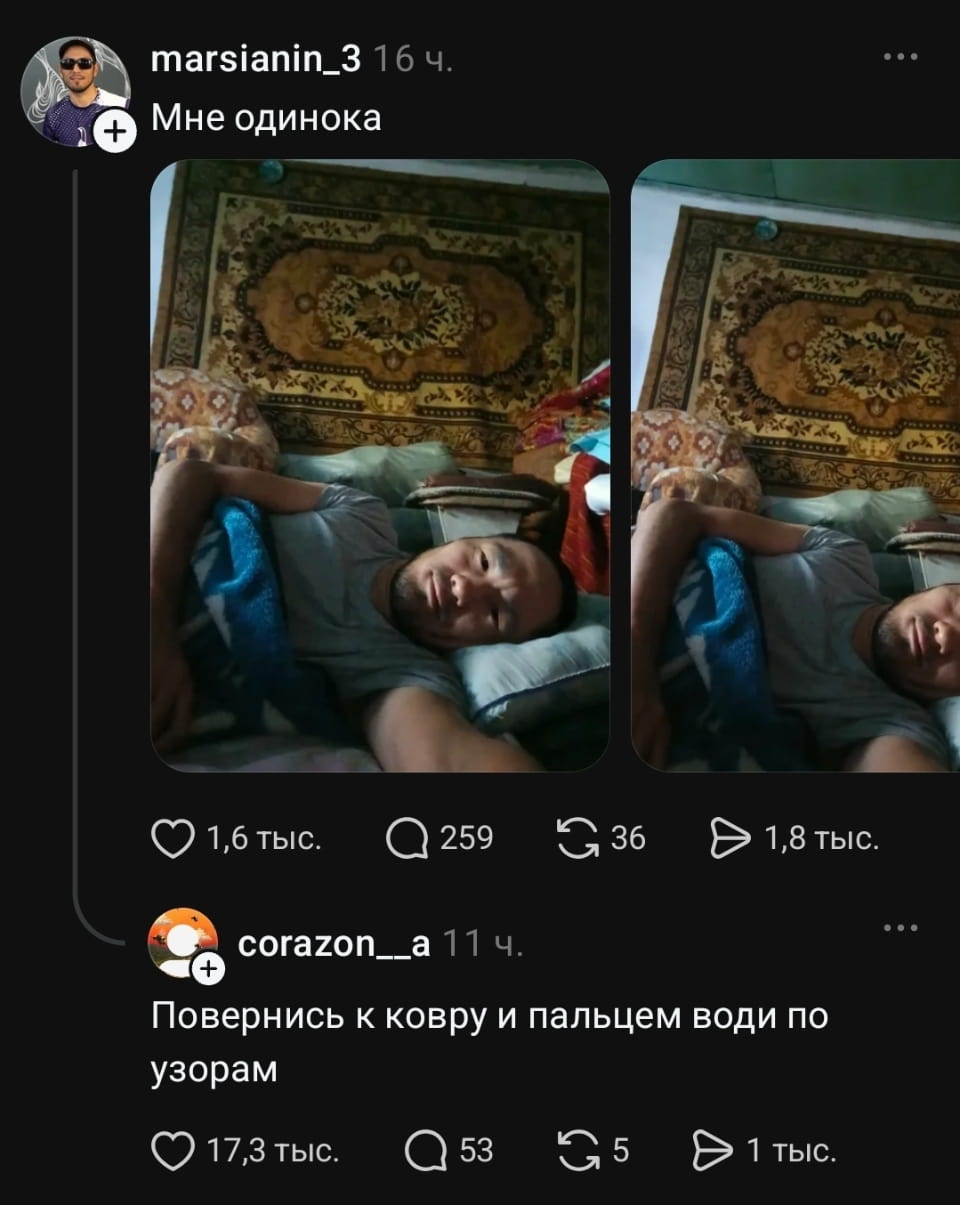— Мне одинока.
— Повернись к ковру и пальцем води по узорам.

Описание картинки:
Переписки с изображением человека на кровати.