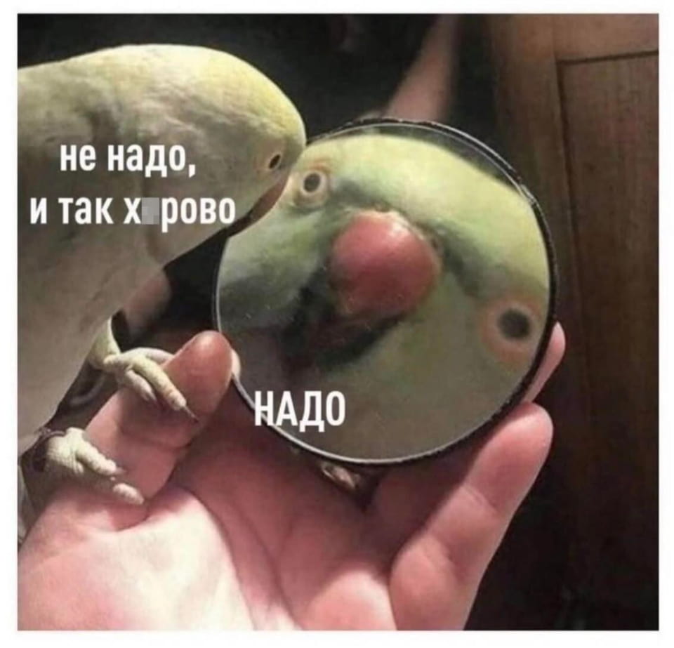 Не надо, и так х*рово НАДО

Описание картинки:
Птица смотрит в зеркало и ведет диалог с отражением.