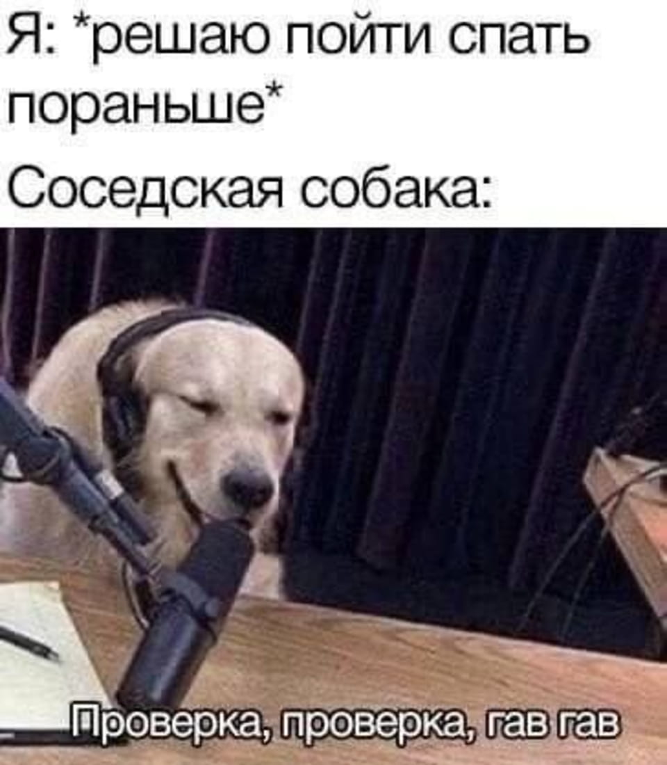 Я: решаю пойти спать пораньше.
Соседская собака: Проверка, проверка, гав гав.