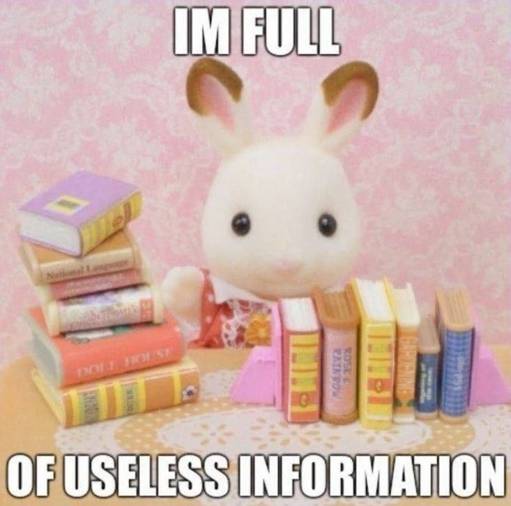IM FULL OF USELESS INFORMATION

Описание картинки:
Мягкая игрушка-кролик сидит за столом с книгами.