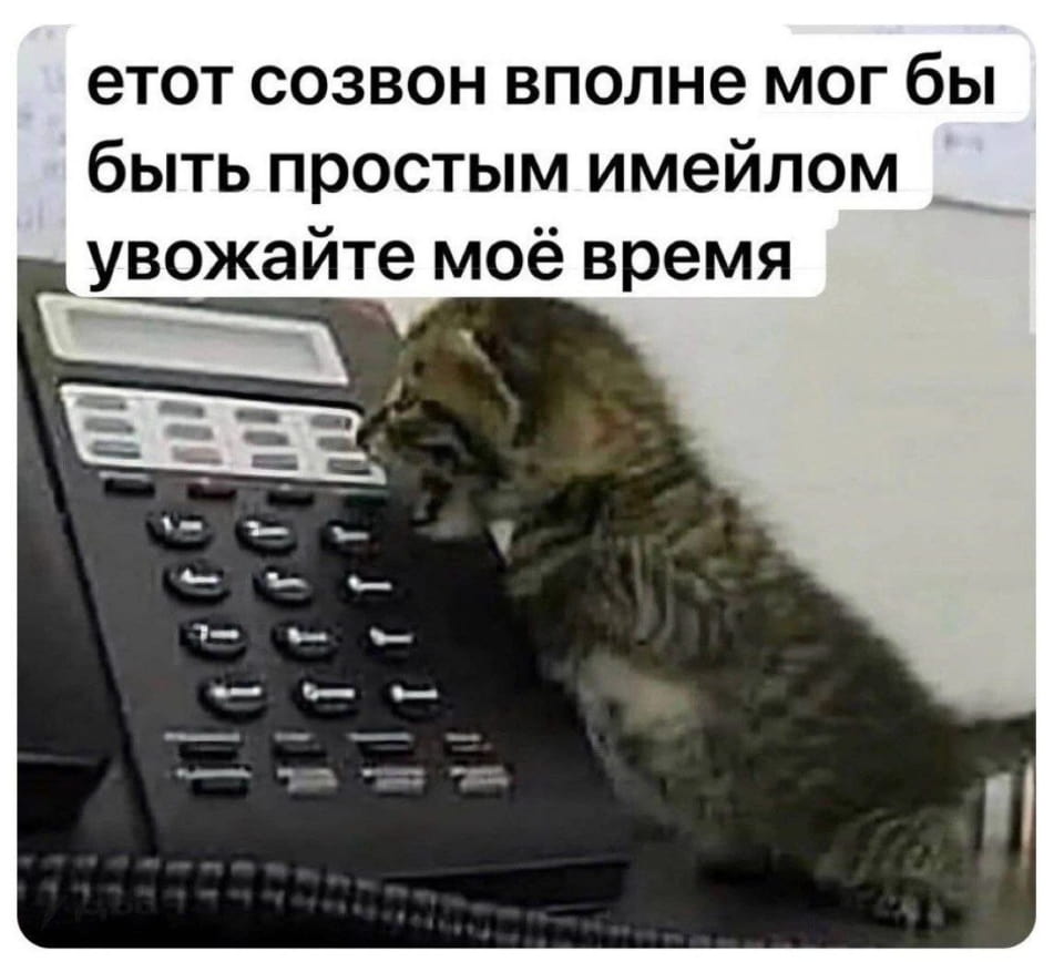 — Этот созвон вполне мог бы быть простым имейлом. Уважайте моё время.

Описание картинки:
Котенок сидит на столе и пытается позвонить по телефону.