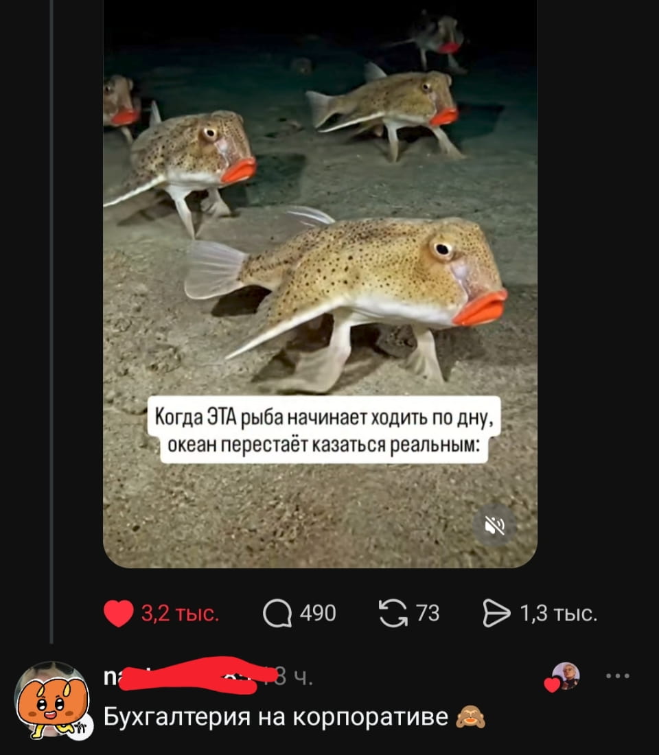 — Когда ЭТА рыба начинает ходить по дну, океан перестаёт казаться реальным: Бухгалтерия на корпоративе. 🐒

Описание картинки:
Подводные обитатели с яркими губами на дне океана.