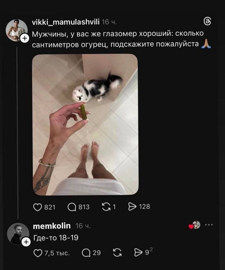 — Мужчины, у вас же глазомер хороший: сколько сантиметров огурец, подскажите, пожалуйста. Где-то 18-19.

Описание картинки:
Переписки с вопросом о размере огурца и ответом.