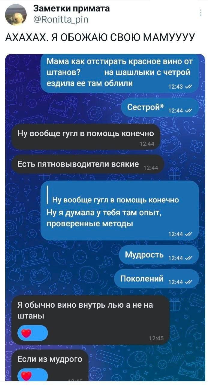 Мама как отстирать красное вино от штанов? На шашлыки с четвёртой ездила, её там облили.<br>— Сестрой* Ну вообще гугл в помощь, конечно.<br>— Есть пятновыводители всякие.<br>— Ну вообще гугл в помощь, конечно. Ну я думала, у тебя там опыт, проверенные методы.<br>— Мудрость Поколений Я обычно вино внутрь лью, а не на штаны. Если из мудрого.<br><br>Описание картинки:<br>Переписки о том, как отстирать вино с штанов.