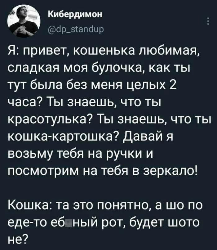 — Я: привет, кошенька любимая, сладкая моя булочка, как ты тут была без меня целых 2 часа? Ты знаешь, что ты красотулька? Ты знаешь, что ты кошка-картошка? Давай я возьму тебя на ручки и посмотрим на тебя в зеркало!
— Кошка: та это понятно, а шо по еде-то еб*ный рот, будет что-то не?