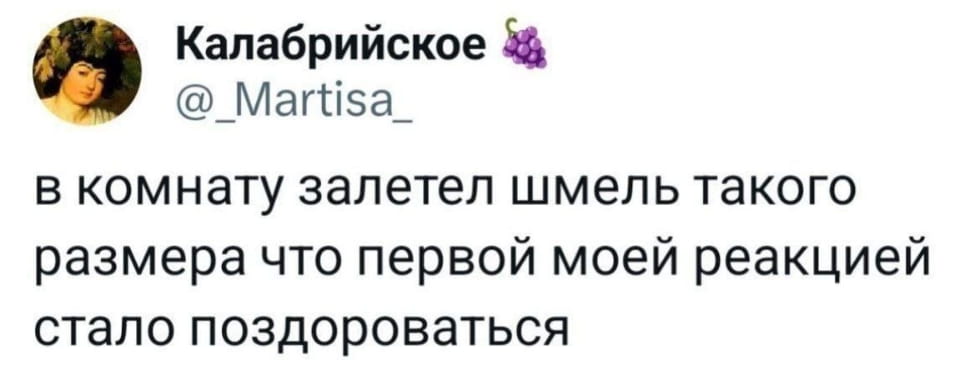 — В комнате залетел шмель такого размера, что первой моей реакцией стало поздороваться.

Описание картинки:
Текст о шмеле, который залетел в комнату и вызвал удивление.