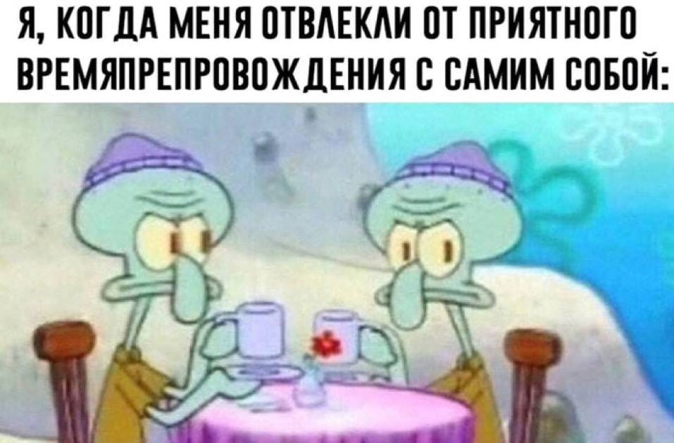 — Я, когда меня отвлекли от приятного времяпрепровождения с самим собой

Описание картинки:
С персонажем мультфильма, который недовольно смотрит на другого.
