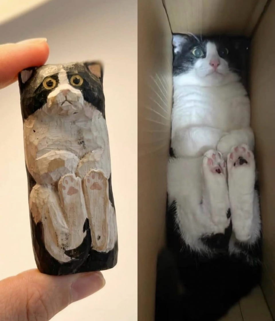 — Фигурка кота, вырезанная из дерева, и настоящий кот, лежащий в коробке.

Описание картинки:
Деревянная фигурка кота рядом с настоящим котом в коробке.