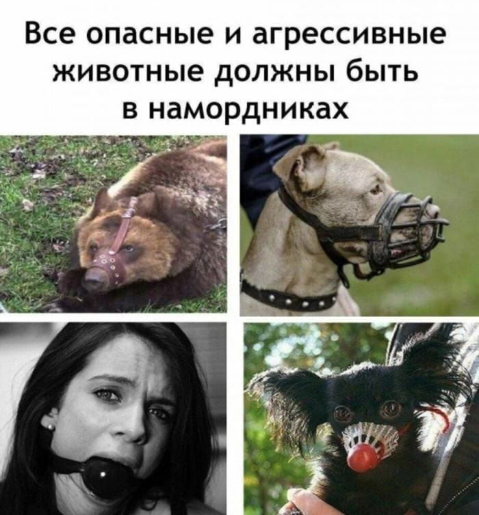 — Все опасные и агрессивные животные должны быть в намордниках. <br /><br /> Описание картинки: <br /> С изображениями животных и человека в намордниках.