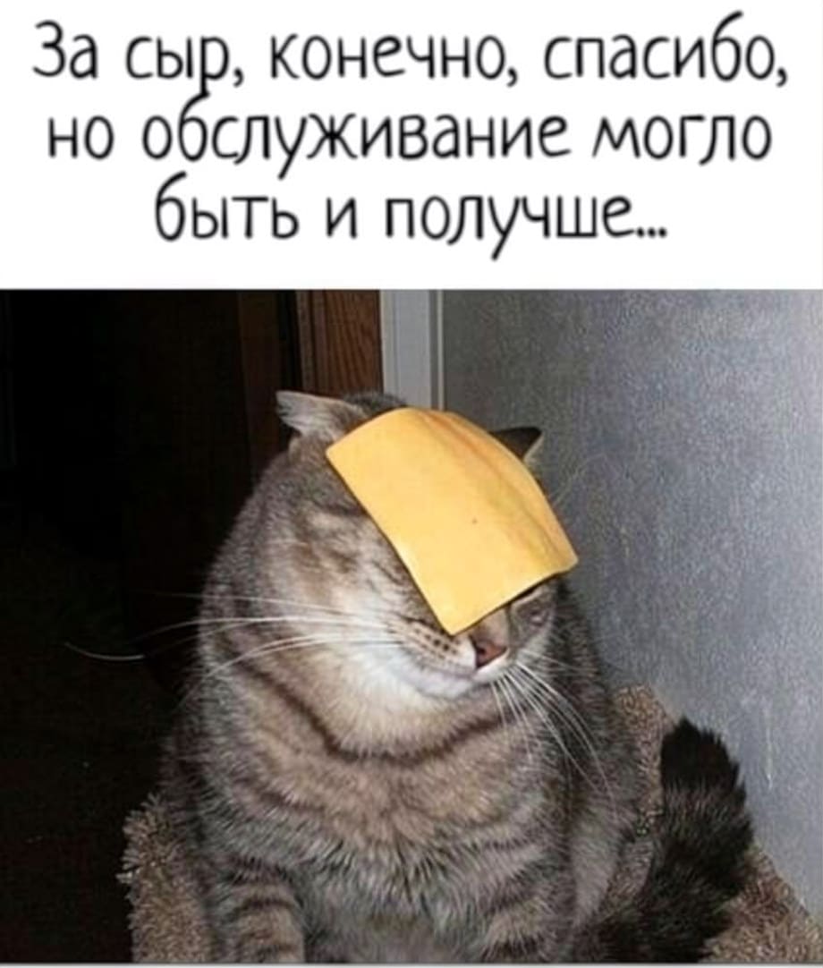 — За сыр, конечно, спасибо, но обслуживание могло быть и получше…

Описание картинки:
Кот с кусочком сыра на лбу выглядит недовольным.
