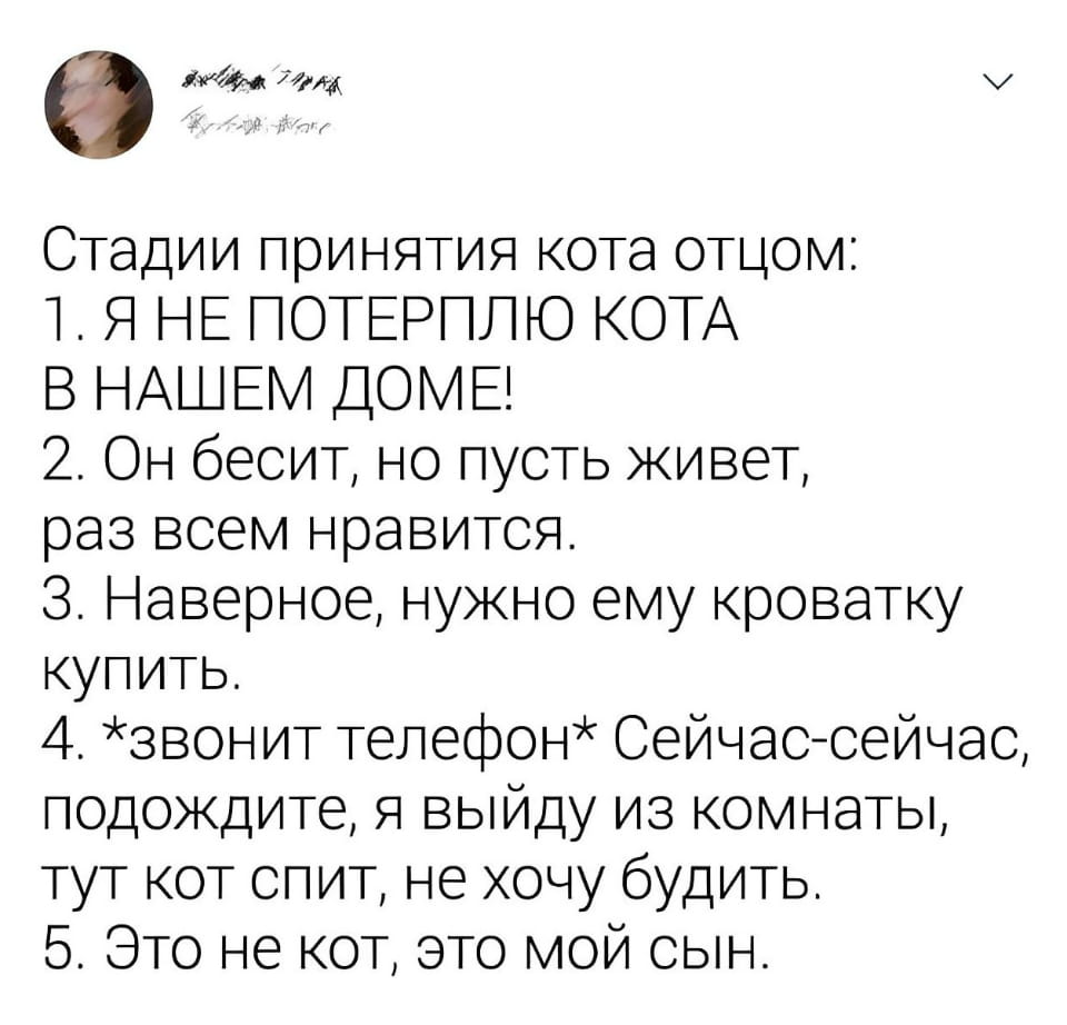 — Стадии принятия кота отцом: 1. Я НЕ ПОТЕРПЛЮ КОТА В НАШЕМ ДОМЕ! 2. Он бесит, но пусть живёт, раз всем нравится. 3. Наверное, нужно ему кроватку купить. 4. Звонит телефон Сейчас-сейчас, подождите, я выйду из комнаты, тут кот спит, не хочу будить. 5. Это не кот, это мой сын.

Описание картинки:
Список стадий принятия кота отцом в доме.