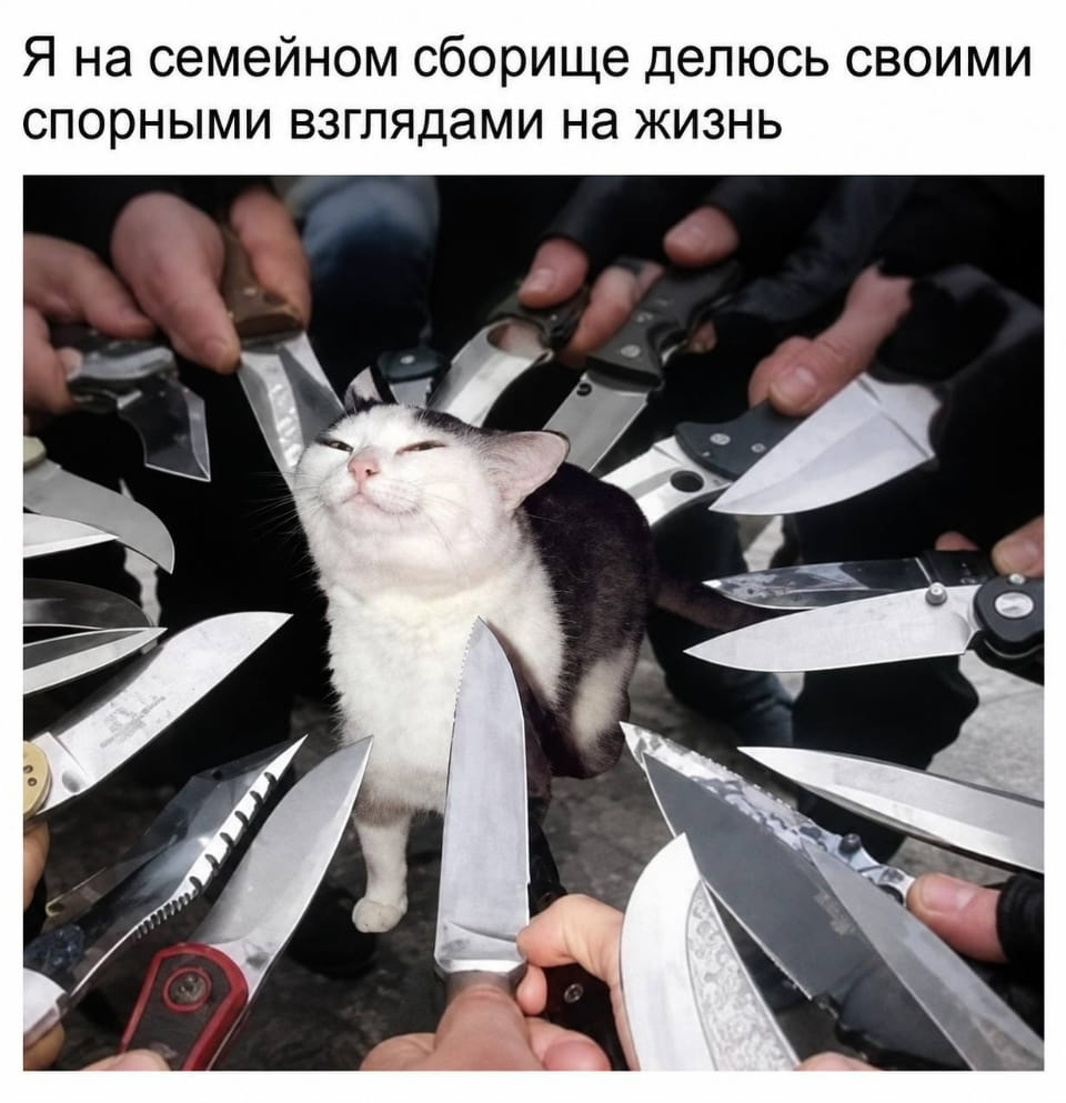 — Я на семейном сборище делюсь своими спорными взглядами на жизнь. <br /><br /> Описание картинки: <br /> Кот окружённый множеством ножей, выглядит довольным.