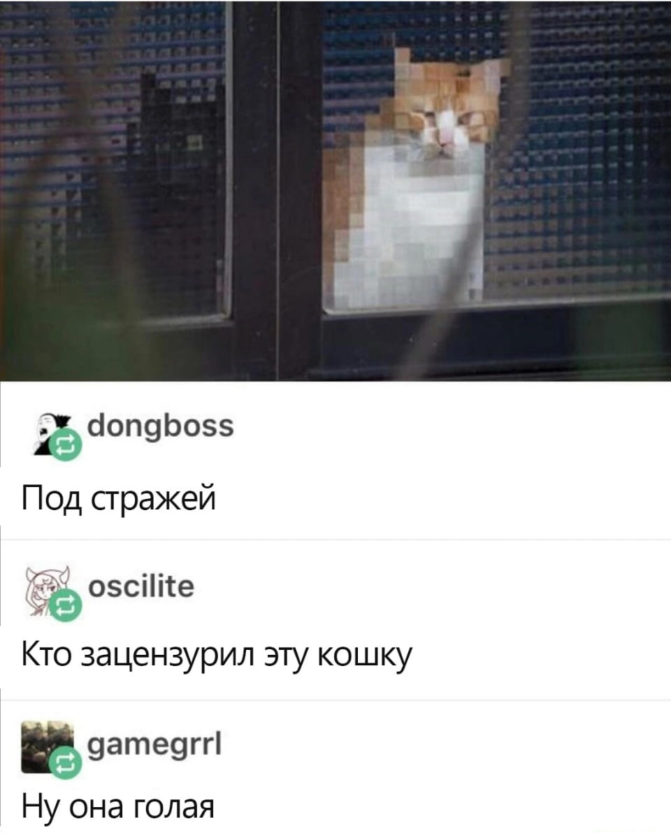Под стражей Кто зацензурил эту кошку Ну она голая

Описание картинки:
Кошка смотрит через стеклянную дверь, часть изображения размазана.