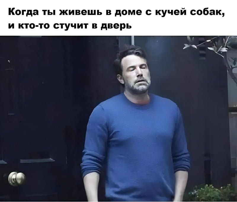 — Когда ты живешь в доме с кучей собак, и кто-то стучит в дверь.

Описание картинки:
Мужчина стоит у двери, явно испытывая стресс от стука.