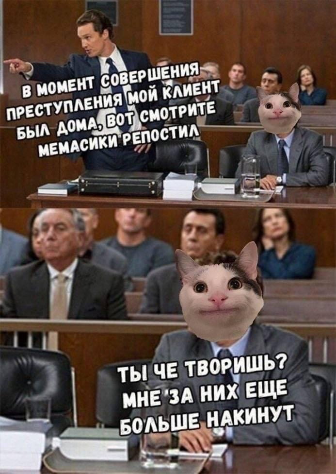 В момент совершения преступления мой клиент был дома, вот смотрите мемасики репостил.
— Ты че творишь? Мне за них ещё больше накинут.

Описание картинки:
С судом и котом, который говорит о защите клиента.
