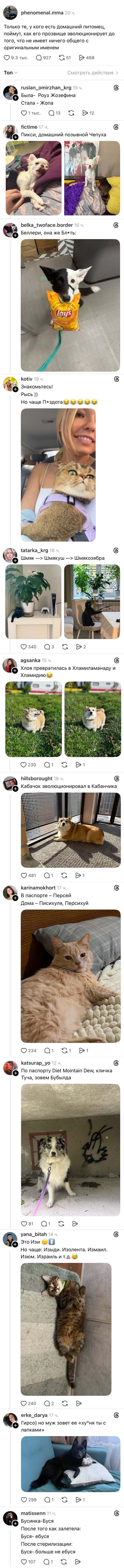 Только тот, у кого есть домашний питомец, поймёт, как его прямая зависимость до того, что он не имеет ничего общего с обратным пивом! Быть — это жизнь. 
 — Писец, дикий позывной нечуя. 
 — Блин, ну это же блин! 
 — Холка переросла в Химкинскую и Химкинскую. 
 — В отпуске — Песик. Дома — Песик, Песик! 
 — Но у нас ещё есть котик. Извините. Извините, исправлюсь! 
 — Люди, мой муж хочет его «ку-ку» с лапками. Бусик — бусик. 
 — Гости это как закуска: Бусик — бусик.
