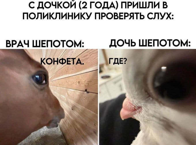 — С дочкой (2 года) пришли в поликлинику проверять слух: Врач шепотом: Конфета. Дочь шепотом: Где?

Описание картинки:
Переписки с врачом и дочкой, проверяющей слух.