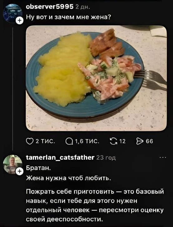 — Ну вот и зачем мне жена? Братан.
— Жена нужна чтоб любить.
— Пожрать себе приготовить — это базовый навык, если тебе для этого нужен отдельный человек — пересмотри оценку своей дееспособности.

Описание картинки:
С тарелкой еды и комментариями пользователей.