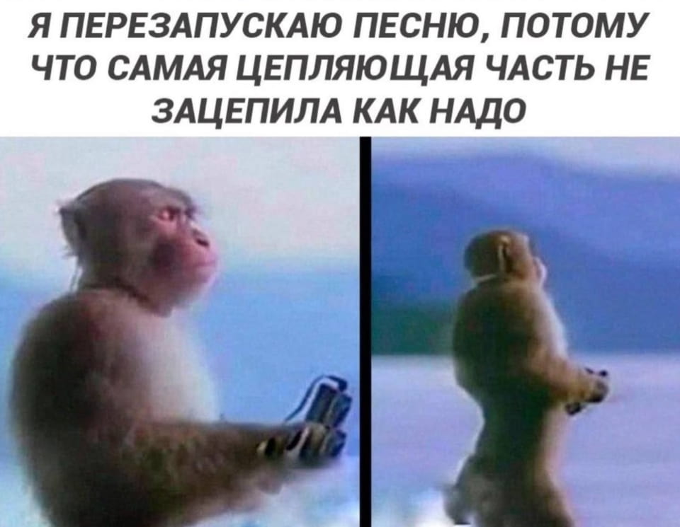 — Я перезапускаю песню, потому что самая цепляющая часть не зацепила как надо.

Описание картинки:
Обезьяна с пультом в руках стоит на фоне природы.