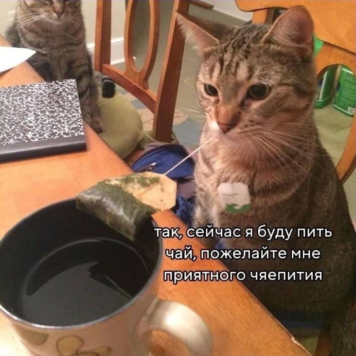 — Так, сейчас я буду пить чай, пожелайте мне приятного чаепития.

Описание картинки:
Кот сидит за столом с чашкой чая и чайным пакетиком.