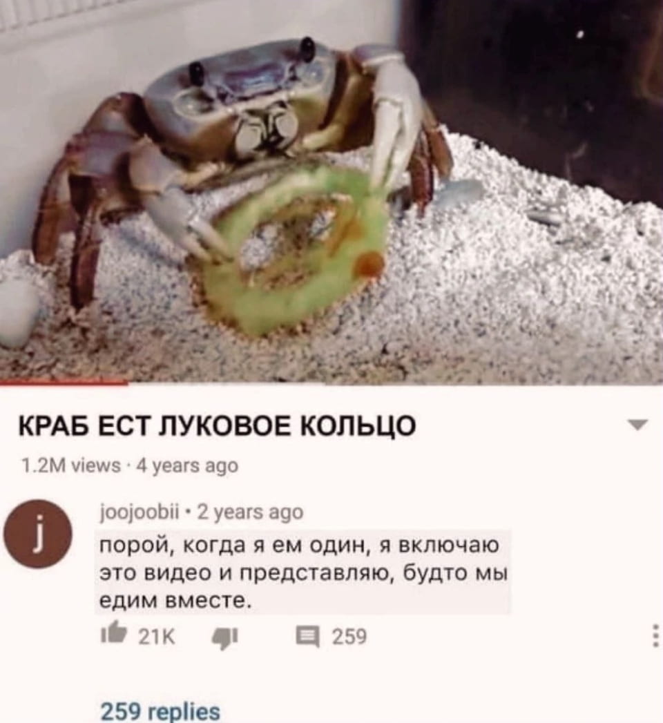 — КРАБ ЕСТ ЛУКОВОЕ КОЛЬЦО порой, когда я ем один, я включаю это видео и представляю, будто мы едим вместе.