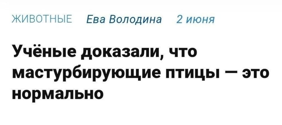 Учёные доказали, что мастурбирующие птицы — это нормально. <br /><br /> Описание картинки: <br /> Статья о научном исследовании, касающемся поведения птиц.