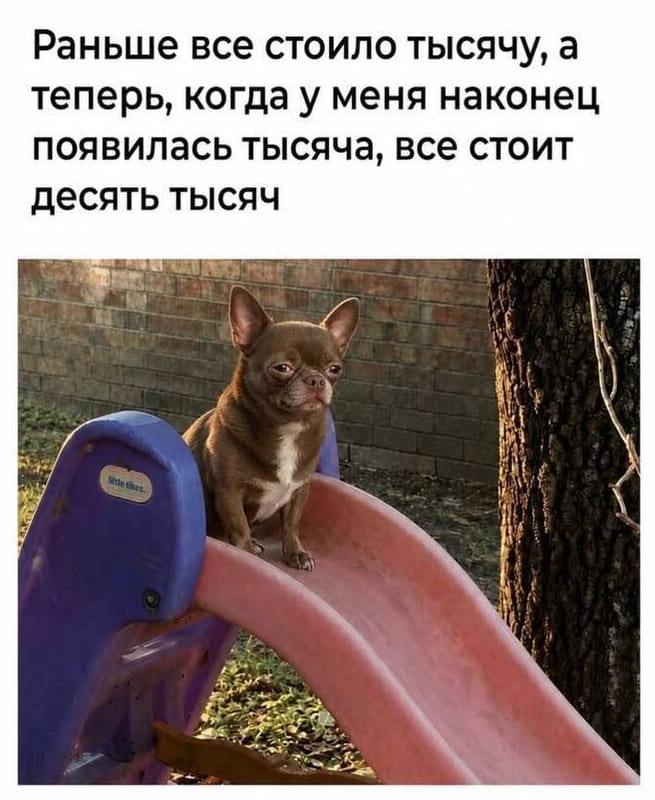 — Раньше все стоило тысячу, а теперь, когда у меня наконец появилась тысяча, все стоит десять тысяч.

Описание картинки:
Собака сидит на горке и смотрит вдаль, размышляя о деньгах.