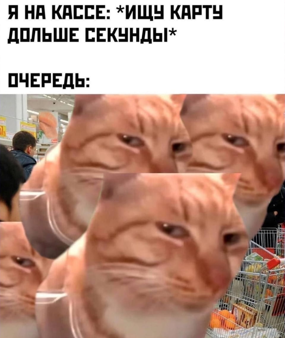 Я на кассе: Ищу карту дольше секунды Очередь <br /><br /> Описание картинки: <br /> С котом, который выглядит недовольным и ждет в очереди.