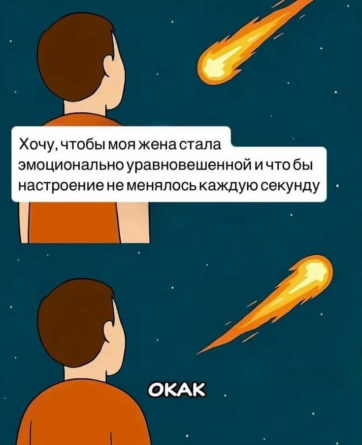 — Хочу, чтобы моя жена стала эмоционально уравновешенной и чтобы настроение не менялось каждую секунду. ОКАК.

Описание картинки:
Мужчина смотрит на падающую звезду и загадывает желание.