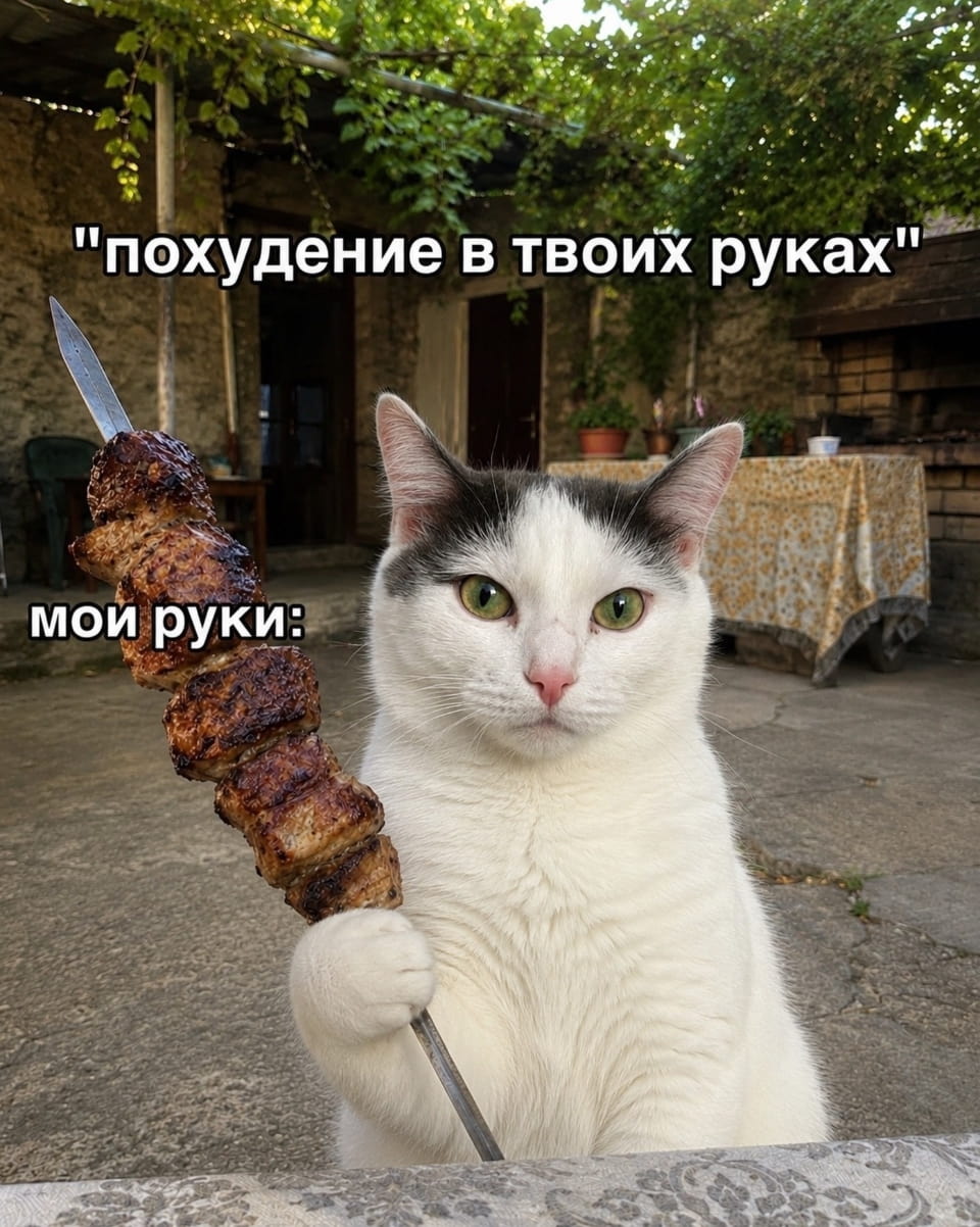 «похудение в твоих руках» мои руки <br /><br /> Описание картинки: <br /> Кот держит шашлык на шампуре, смотрит в камеру.