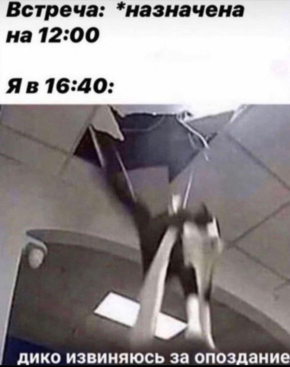 — Встреча: *назначена на 12:00. Я в 16:40: ДИКО ИЗВИНЯЮСЬ ЗА ОПОЗДАНИЕ.

Описание картинки:
Кот падает с потолка, извиняясь за опоздание.
