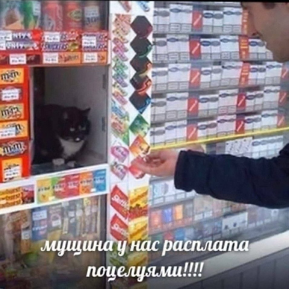 Мужчина у нас расплата поцелуями!

Описание картинки:
Кот сидит в автомате с конфетами и ждет оплату.