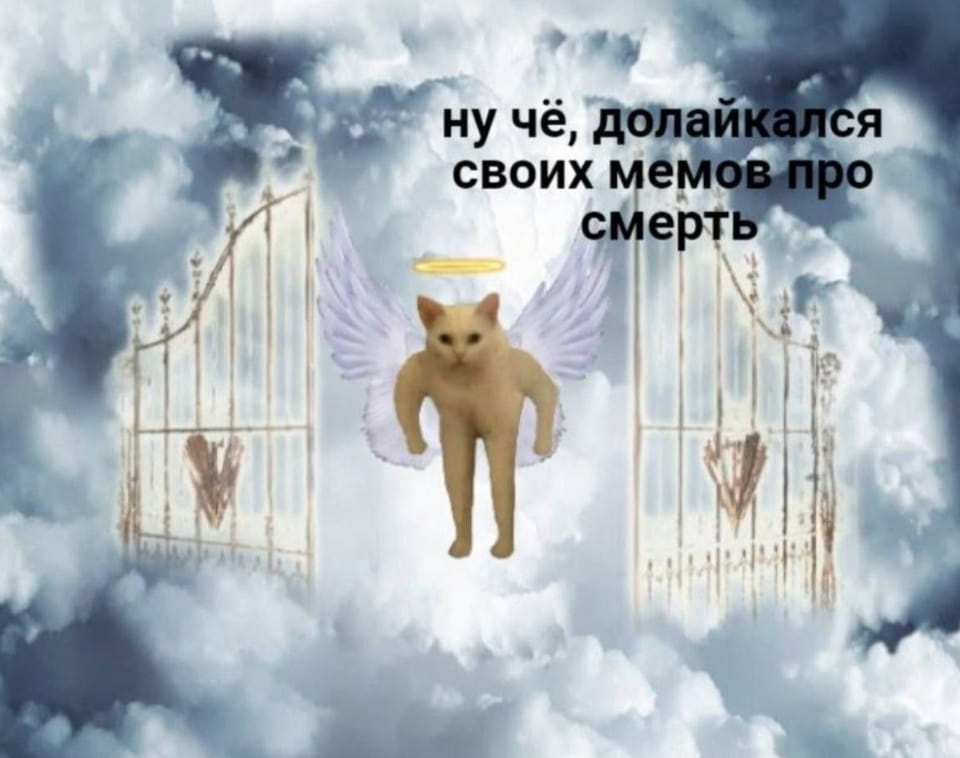 Ну чё, долайкался своих мемов про смерть.

Описание картинки:
Кот с крыльями и нимбом в облаках у ворот рая.