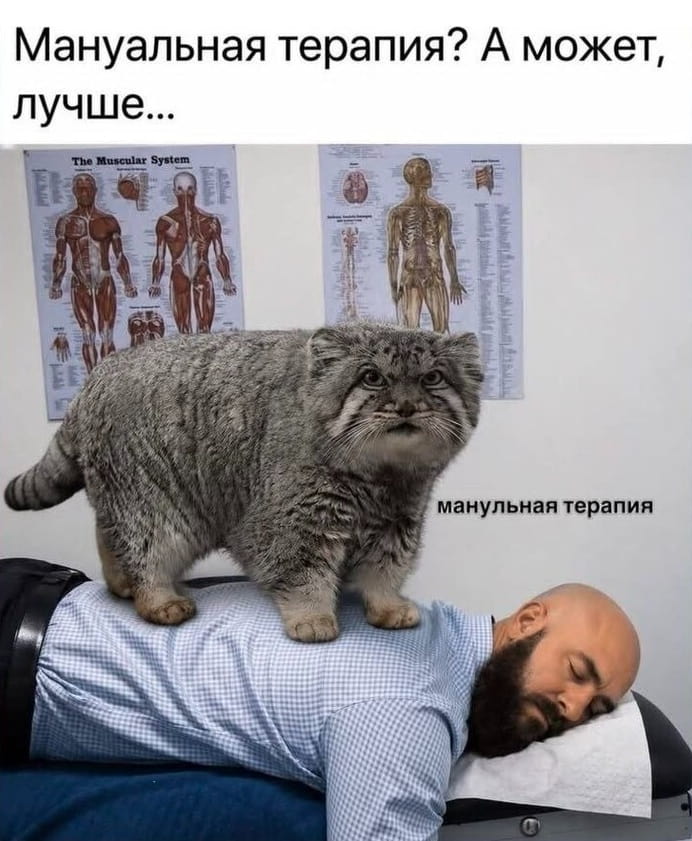 Мануальная терапия? А может, лучше… Мануальная терапия.

Описание картинки:
Кот сидит на спине спящего мужчины в кабинете.