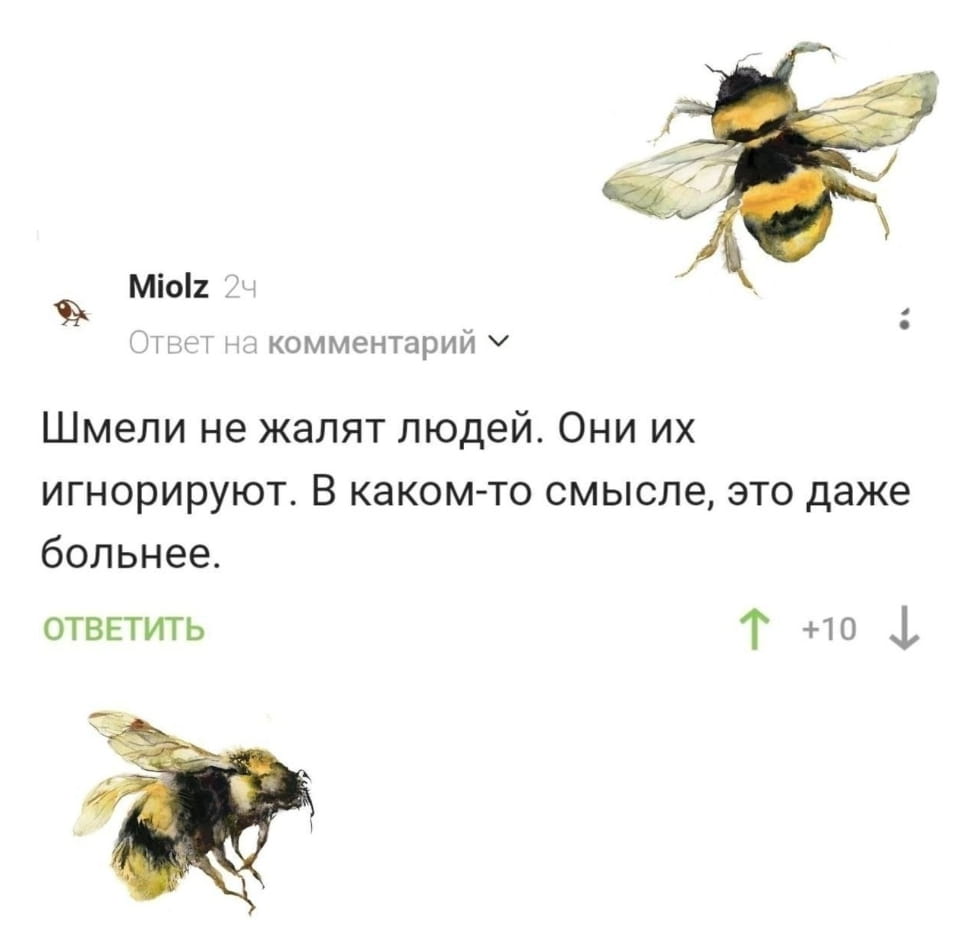 — Шмели не жалеют людей. Они их игнорируют. В каком-то смысле, это даже больнее.

Описание картинки:
Комментарий о шмелях и их отношении к людям.