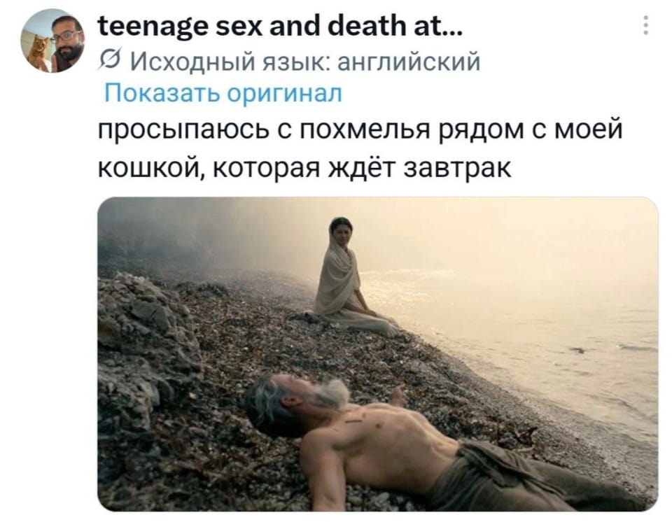 — Просыпаюсь с похмелья рядом с моей кошкой, которая ждёт завтрак.

Описание картинки:
Кадр из фильма с женщиной и мужчиной на берегу.