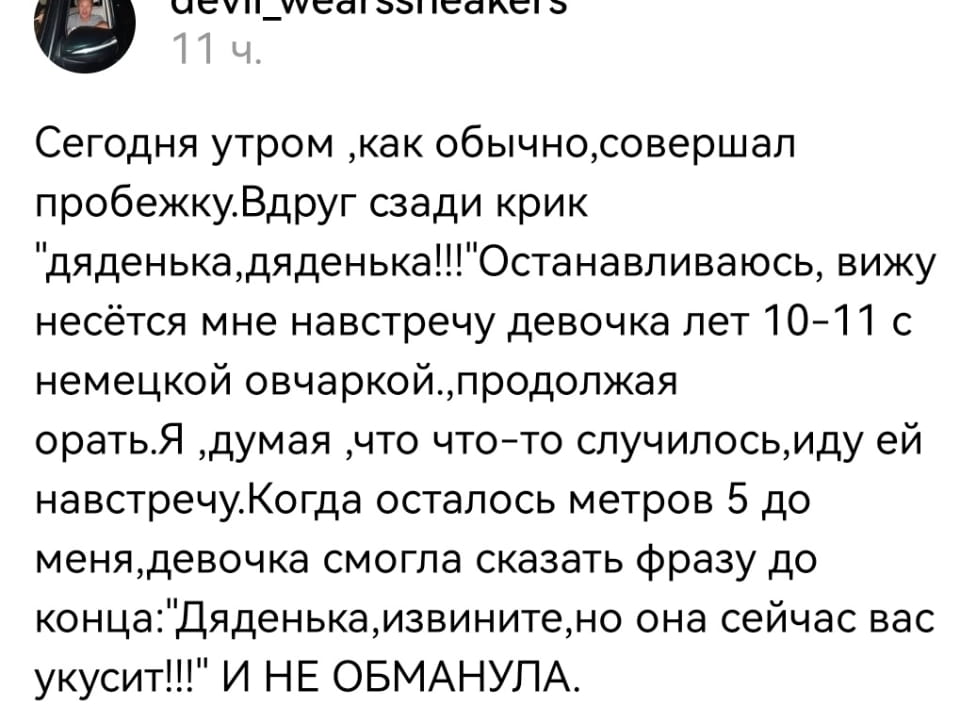 Сегодня утром, как обычно, совершал пробежку. Вдруг сзади крик «дяденька, дяденька!!!»Останавливаюсь, вижу несётся мне навстречу девочка лет 10-11 с немецкой овчаркой, продолжая орать. Я, думая, что что-то случилось, иду ей навстречу. Когда осталось метров 5 до меня, девочка смогла сказать фразу до конца:«Дяденька, извините, но она сейчас вас укусит!!!» И НЕ ОБМАНУЛА.

Описание картинки:
Девочка предупреждает о приближающейся собаке, которая может укусить.