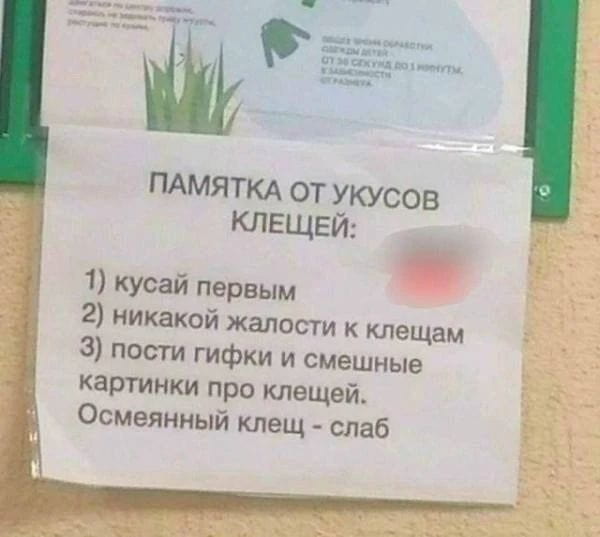 — ПАМЯТКА ОТ УКУСОВ КЛЕЩЕЙ: 1) кусай первым 2) никакой жалости к клещам 3) пости гифки и смешные картинки про клещей. <br /> — Осмеянный клещ — слаб. <br /> Описание картинки: <br /> Визуальные шутки о клещах и их укусе, создающие легкую атмосферу.