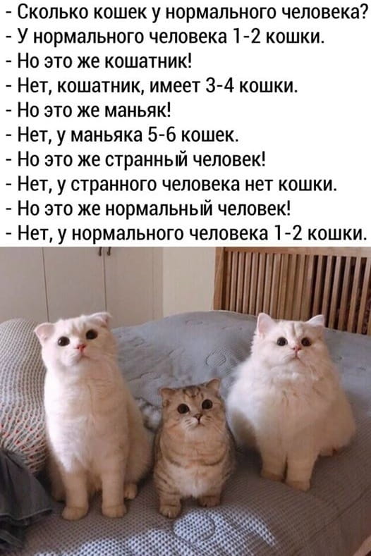 — Сколько кошек у нормального человека?
— У нормального человека 1-2 кошки.
— Но это же котёнок!
— Нет, котёнок, имеет 3-4 кошки.
— Но это же маньяк!
— Нет, у маньяка 5-6 кошек.
— Но это же странный человек!
— Нет, у странного человека нет кошки.
— Но это же нормальный человек!
— Нет, у нормального человека 1-2 кошки.

Описание картинки:
Диалог о классификации людей по количеству кошек, приводящий к зацикливанию.