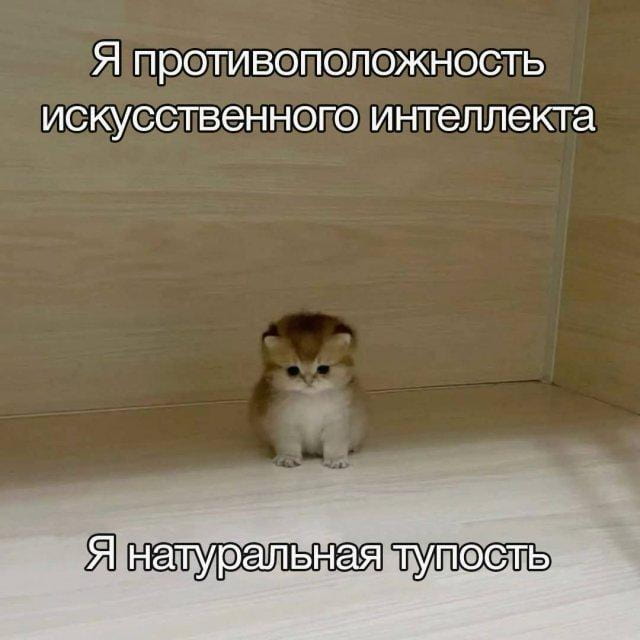Я противоположность искусственного интеллекта Я натуральная тупость

Описание картинки:
Текст, описывающий себя как противоположность ИИ, называя это натуральной тупостью.