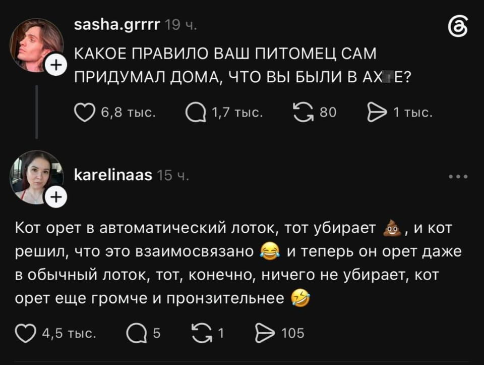КАКОЕ ПРАВИЛО ВАШ ПИТОМЕЦ САМ ПРИДУМАЛ ДОМА, ЧТО ВЫ БЫЛИ В АХ*Е?
Кот орет в автоматический лоток, тот убирает 💩, и кот решил, что это взаимосвязано 😂 и теперь он орет даже в обычный лоток, тот, конечно, ничего не убирает, кот орет ещё громче и пронзительнее 🤣

Описание картинки:
Кот орет в лоток, ожидая уборки, но ничего не происходит.