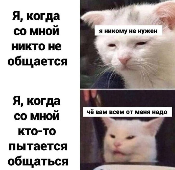 Я, когда со мной никто не общается Я, когда со мной кто-то пытается общаться я никому не нужен чё вам всем от меня надо

Описание картинки:
Персонаж колеблется между одиночеством и страхом общения.