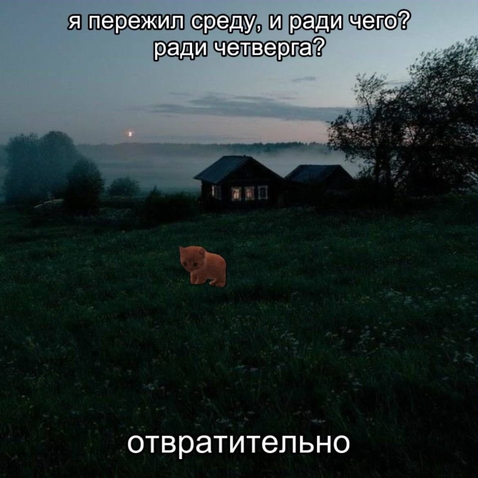 Я пережил среду, и ради чего? ради четверга?
Отвратительно

Описание картинки:
Текст, выражающий разочарование от наступления четверга после среды.