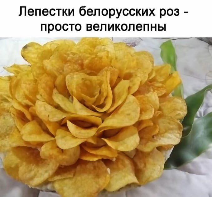 Лепестки белорусских роз — просто великолепны

Описание картинки:
Текст, выражающий восхищение лепестками белорусских роз.