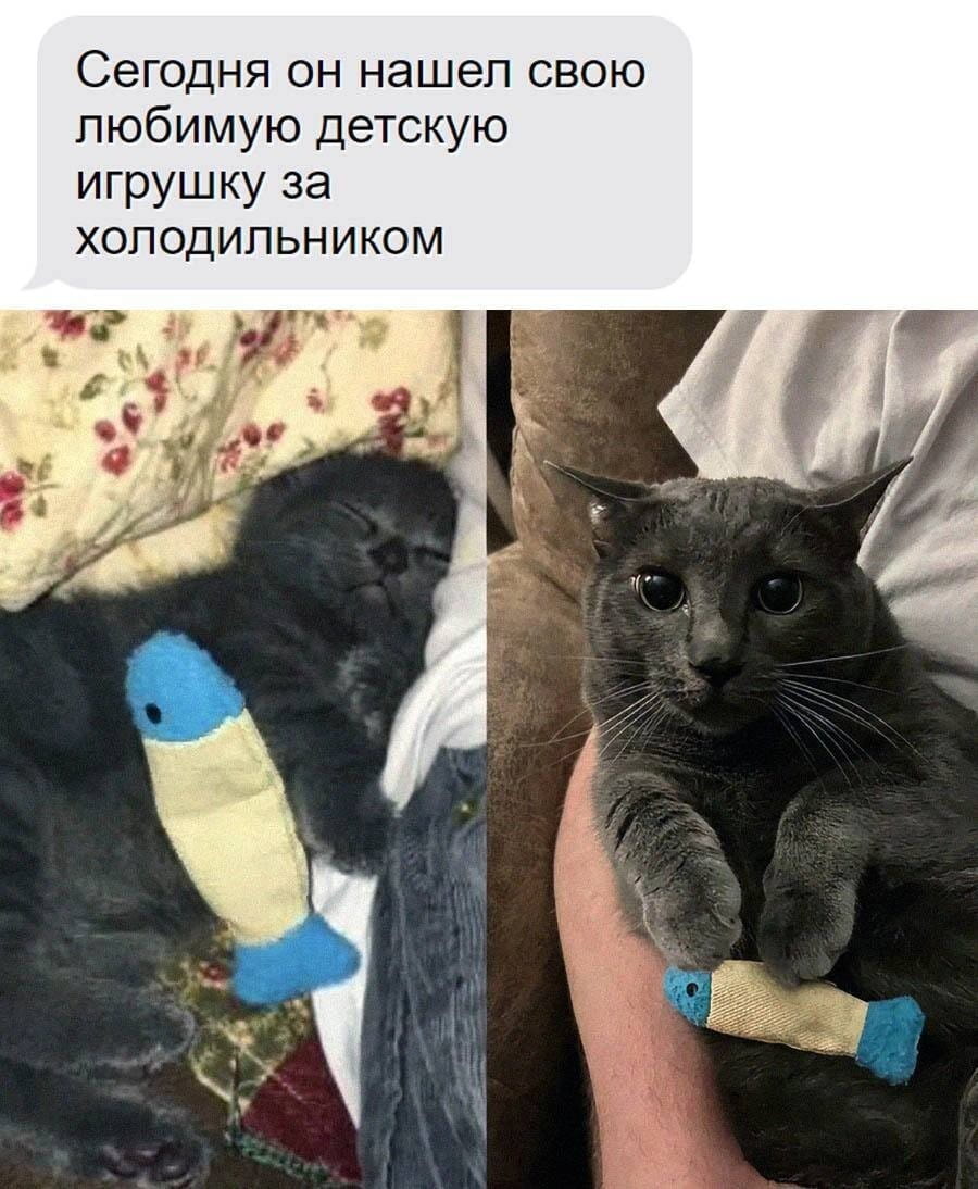 Сегодня он нашёл свою любимую детскую игрушку за холодильником

Описание картинки:
Человек нашёл свою старую игрушку за холодильником.