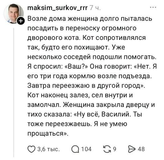 Возле дома женщина долго пыталась посадить в переноску огромного дворового кота. Кот сопротивлялся так, будто его похищают. Уже несколько соседей подошли помогать. Я спросил: «Ваш?» Она говорит: «Нет. Я его три года кормлю возле подъезда. Завтра переезжаю в другой город». Кот наконец залез, сел внутри и замолчал. Женщина закрыла дверцу и тихо сказала: «Ну всё, Василий. Ты тоже переезжаешь. Я не умею прощаться».

Описание картинки:
Женщина пытается уложить кота в переноску перед переездом.