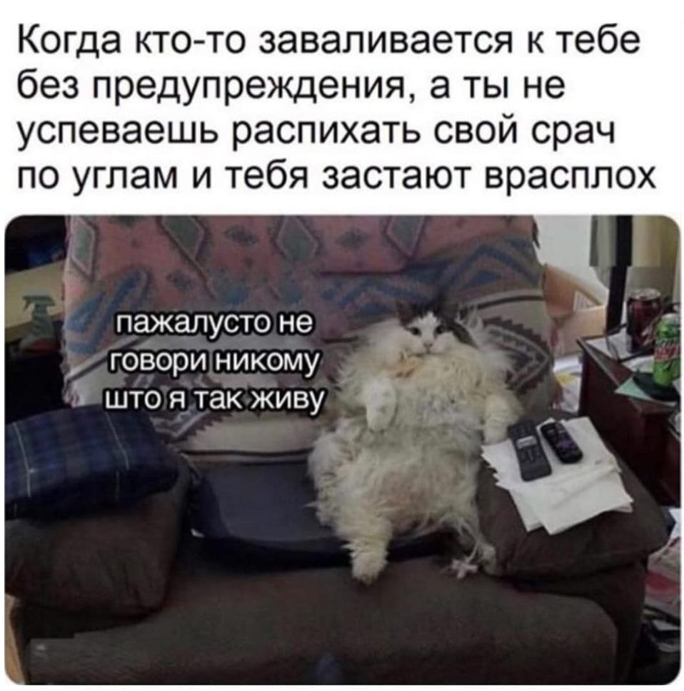 Когда кто-то заваливается к тебе без предупреждения, а ты не успеваешь распихать свой срач по углам и тебя застают врасплох

Пожалуйста не говори никому что я так живу

Описание картинки:
Человек в растерянности от неожиданного визита и бардака вокруг.