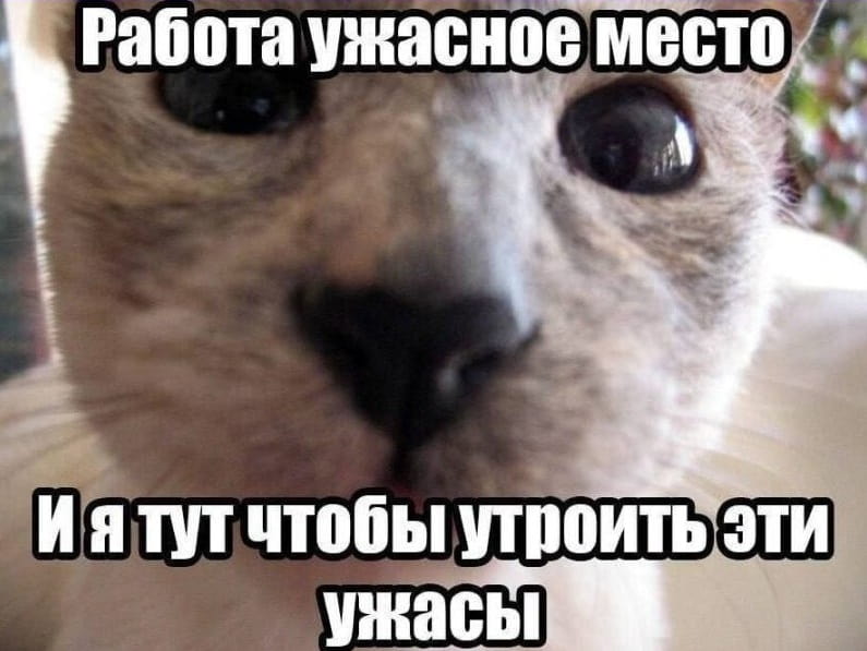 Работа ужасное место И я тут чтобы устроить эти ужасы <br /><br /> Описание картинки: <br /> Человек, который пришёл на работу, чтобы устраивать ужасы.