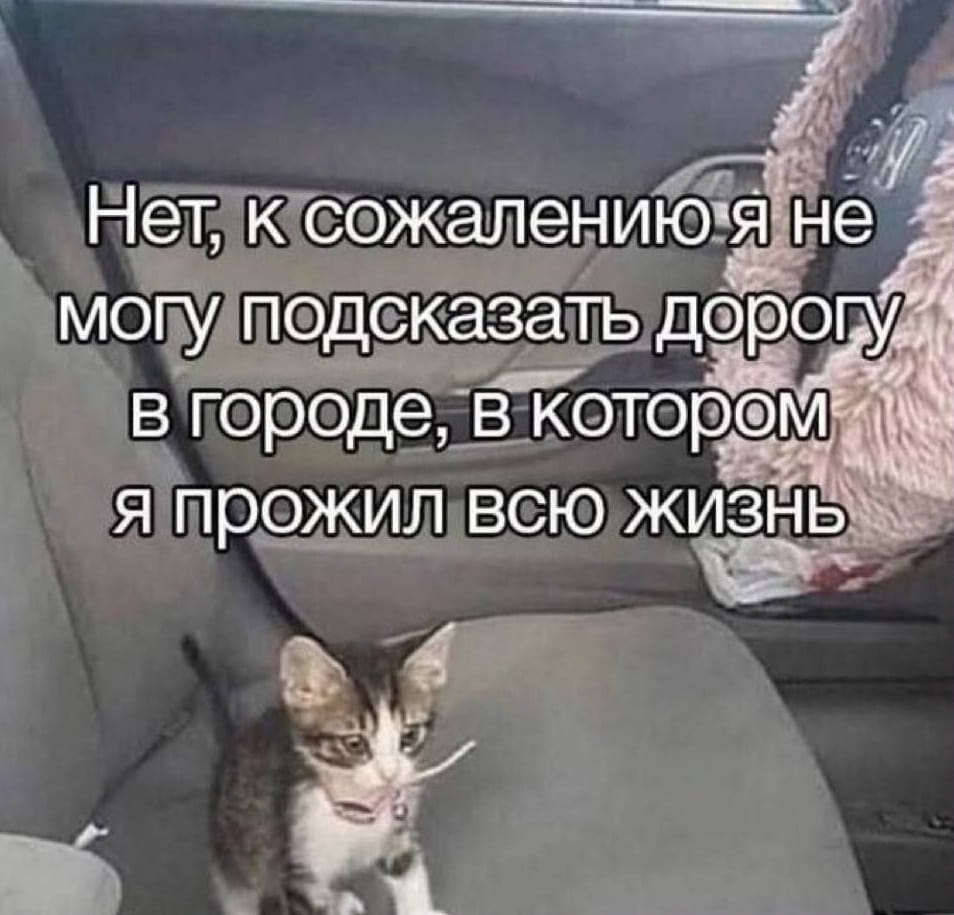 Нет, к сожалению я не могу подсказать дорогу в городе, в котором я прожил всю жизнь

Описание картинки:
Текстовая фраза о невозможности подсказать дорогу в родном городе.